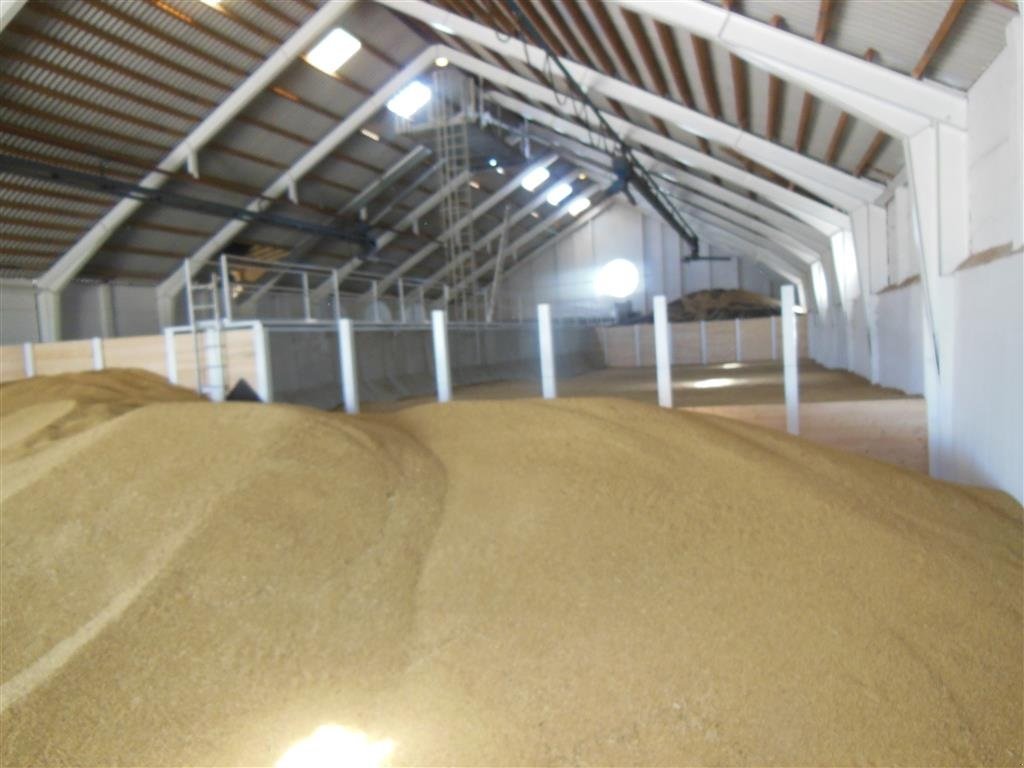 Sonstiges des Typs Sonstige Planlager, m/ kørefast gulv, 45% billigere end træ, Gebrauchtmaschine in Egtved (Bild 19)