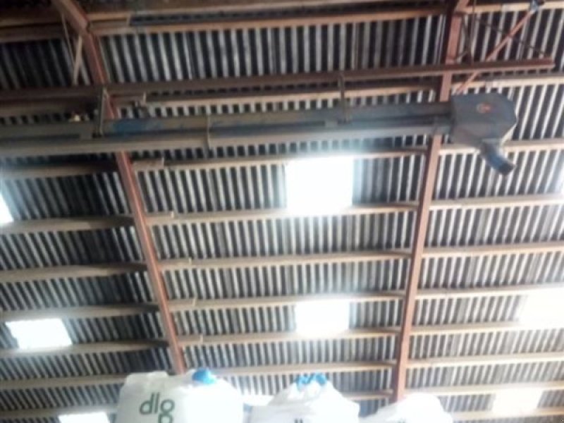 Sonstiges des Typs JEMA T 19 V Model A, reversibel båndtransportør, Gebrauchtmaschine in Egtved (Bild 1)