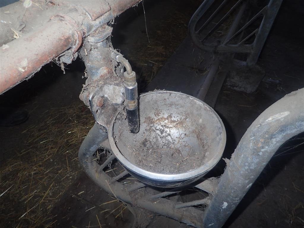 Aufstallung des Typs Sonstige Rustfri vandkopper til kreaturer 24 stk., Gebrauchtmaschine in Egtved (Bild 2)