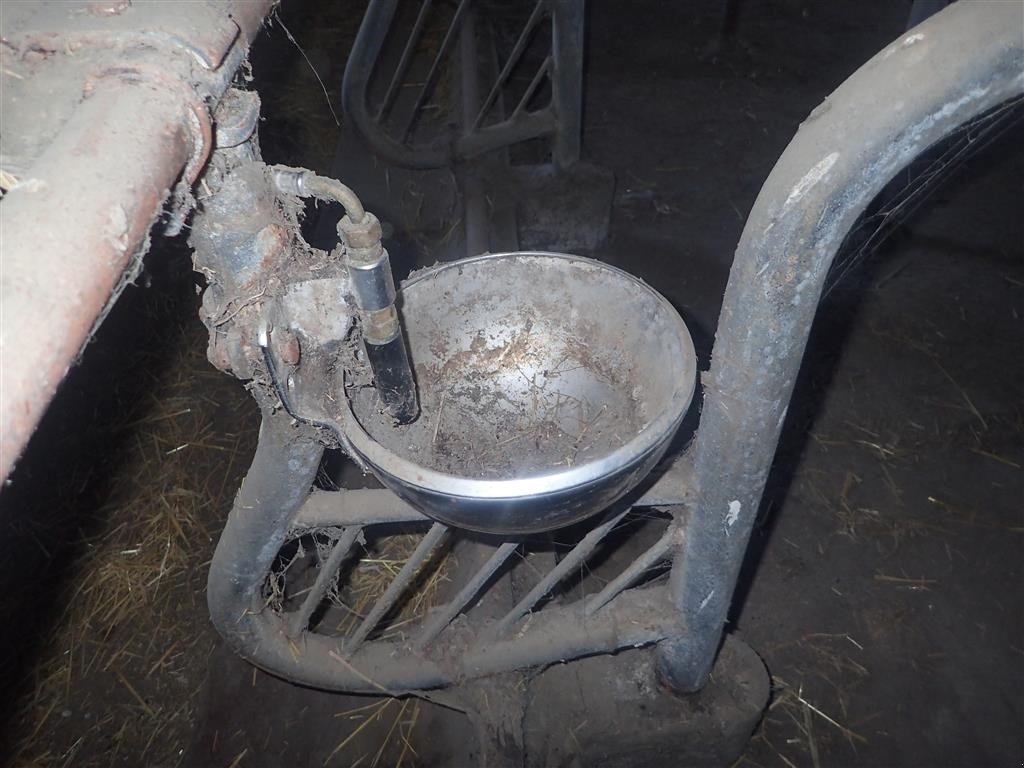 Aufstallung des Typs Sonstige Rustfri vandkopper til kreaturer 24 stk., Gebrauchtmaschine in Egtved (Bild 1)