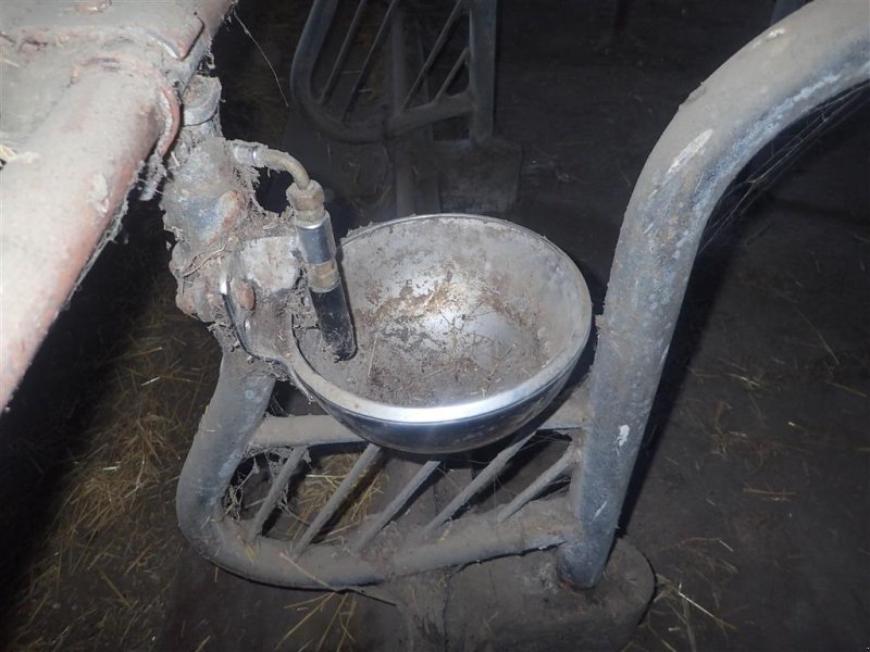 Aufstallung des Typs Sonstige Rustfri vandkopper til kreaturer 24 stk., Gebrauchtmaschine in Egtved (Bild 1)