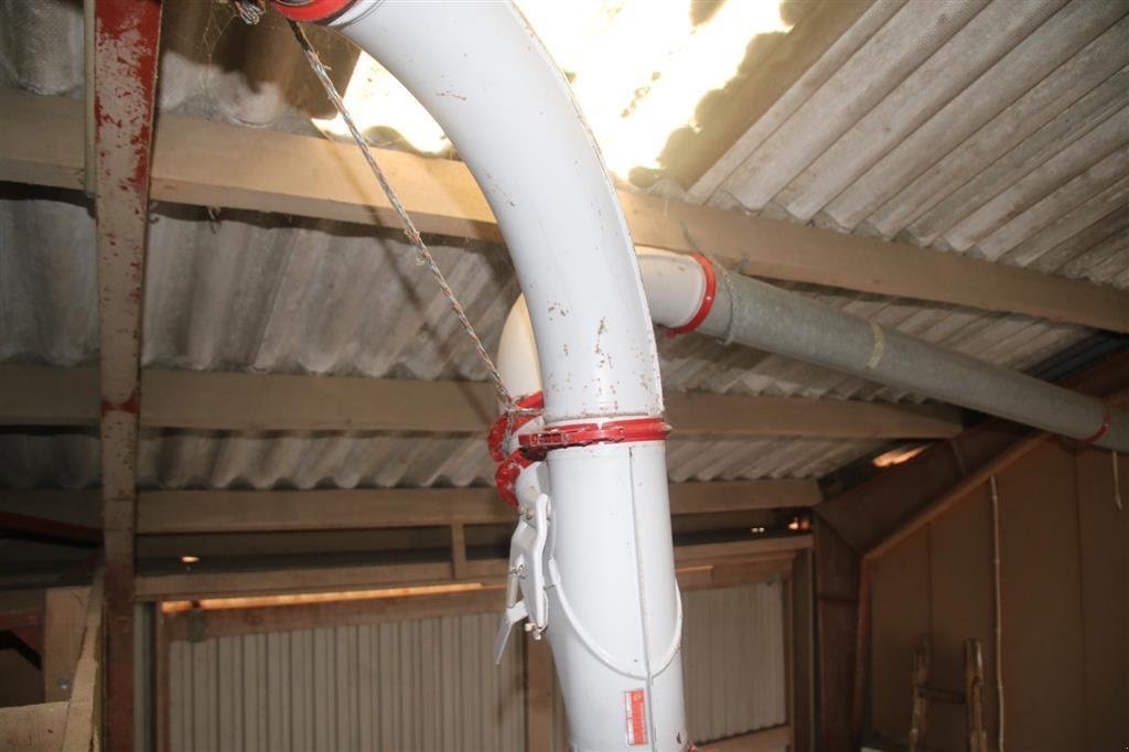 Sonstige Getreidelagertechnik des Typs Kongskilde Komplet anlæg, inkl siloer., Gebrauchtmaschine in Høng (Bild 5)