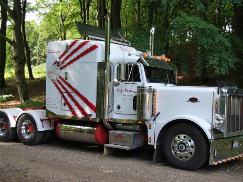LKW des Typs Sonstige peterbilt 379, Gebrauchtmaschine in Kongerslev (Bild 1)