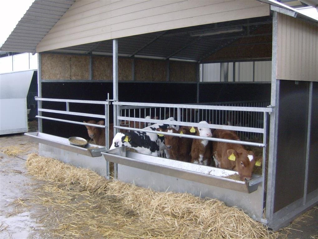 Melkstand des Typs Agro Kalvehytter fælles, Gebrauchtmaschine in Kjellerup (Bild 6)