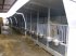Melkstand des Typs Agro Kalvehytter, Gebrauchtmaschine in Kjellerup (Bild 6)