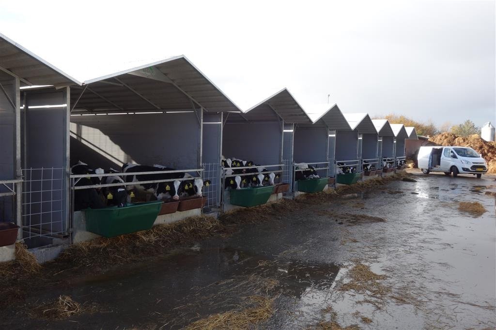 Melkstand des Typs Agro Kalvehytter fælles lille, Gebrauchtmaschine in Kjellerup (Bild 4)