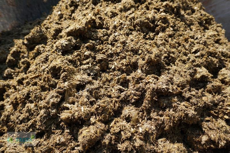 Sonstige Gülletechnik & Dungtechnik des Typs Bauer Separator Plug & Play, Vorführmaschine in Ahlen (Bild 4)