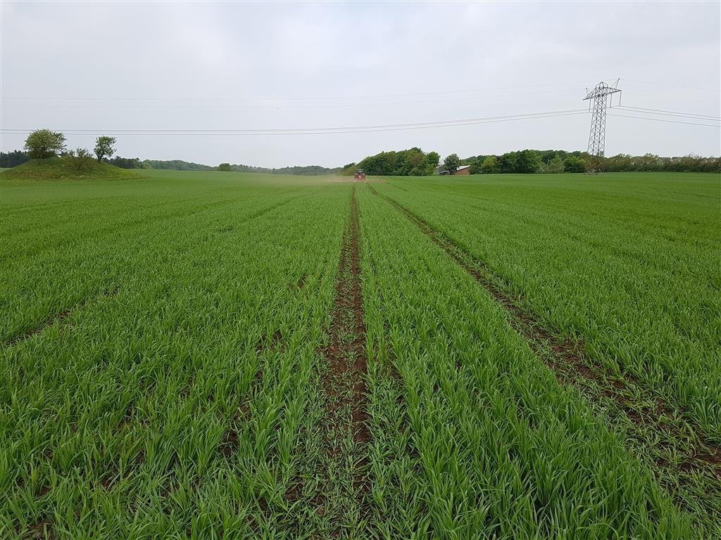 Egge des Typs Sonstige flex-weeder Med hydraulisk trykudligning, Gebrauchtmaschine in Thyholm (Bild 5)