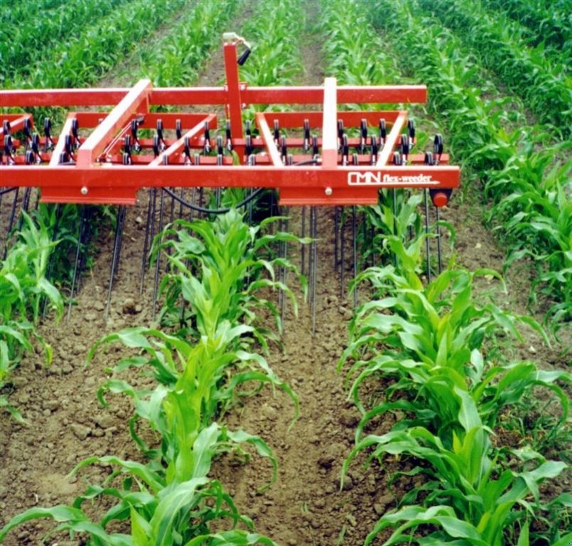 Egge des Typs Sonstige flex-weeder Med hydraulisk trykudligning, Gebrauchtmaschine in Thyholm (Bild 3)