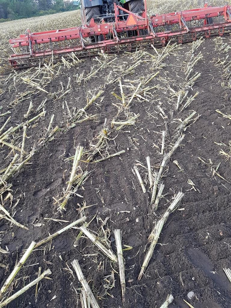 Egge des Typs Sonstige HSV Kan udstyres med såmaskine, Gebrauchtmaschine in Thyholm (Bild 6)