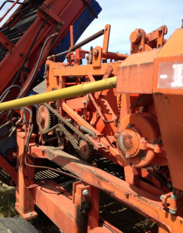 Kartoffelvollernter des Typs AMAC E2,  in Чорномор'ївка (Bild 4)