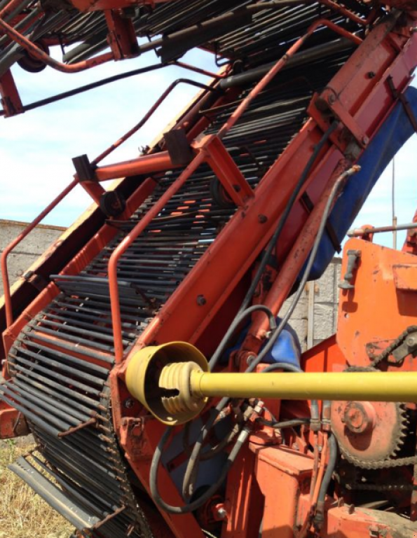 Kartoffelvollernter des Typs AMAC E2,  in Чорномор'ївка (Bild 6)