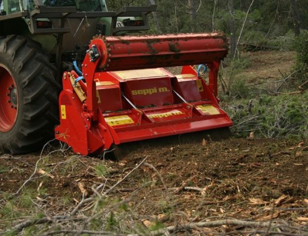 Straßenfräse des Typs Seppi Multiforst 250,  in Кіровоград (Bild 3)