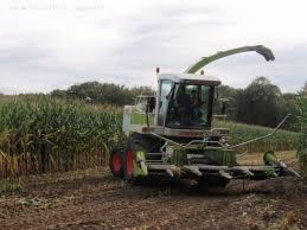 Sonstiges Feldhäckslerzubehör des Typs CLAAS Jaguar 840, Neumaschine in Суми (Bild 1)