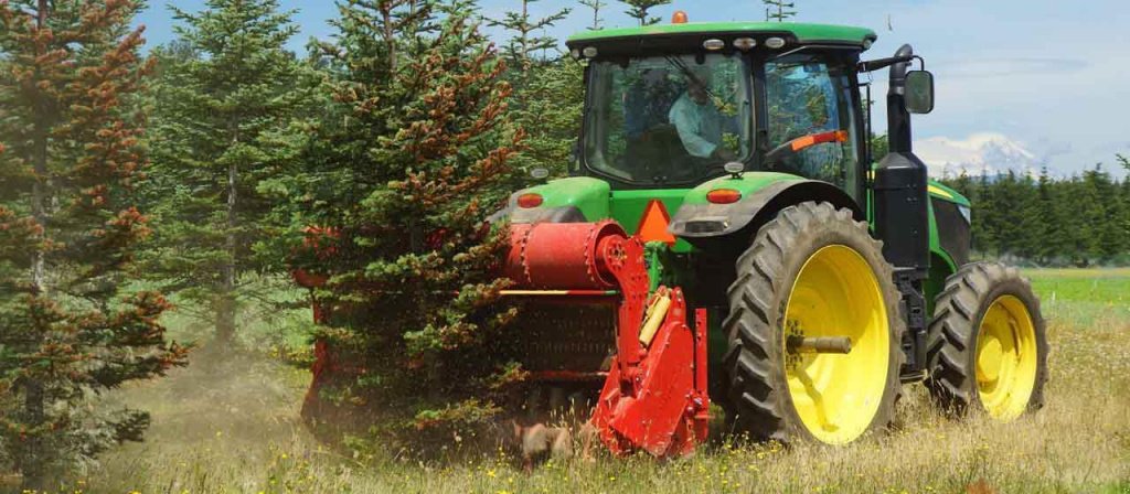 Straßenfräse des Typs Seppi Multiforst 200, Gebrauchtmaschine in Київ (Bild 1)