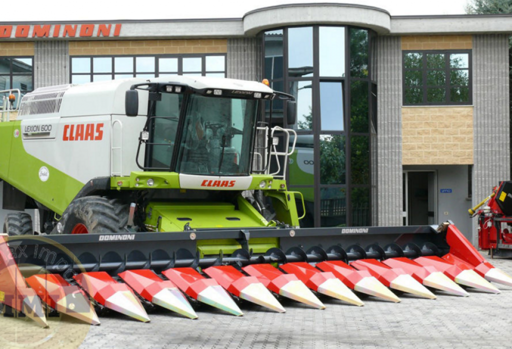 Maispflückvorsatz des Typs Dominoni Rock 8,  in Хмельницький (Bild 3)