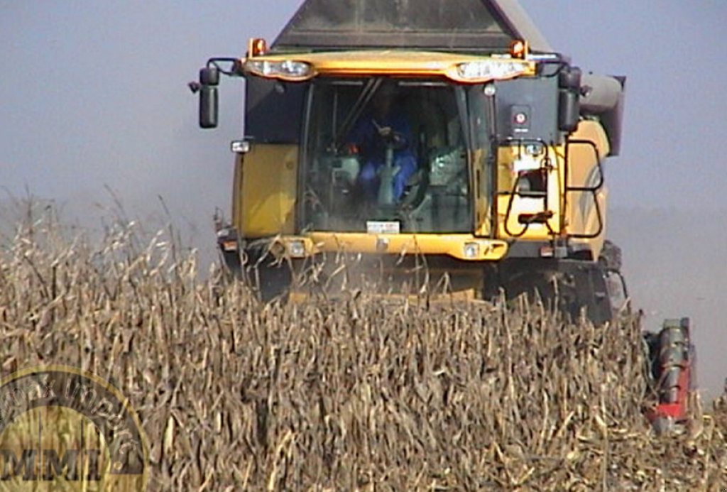 Maispflückvorsatz des Typs Dominoni Rock 8,  in Хмельницький (Bild 7)