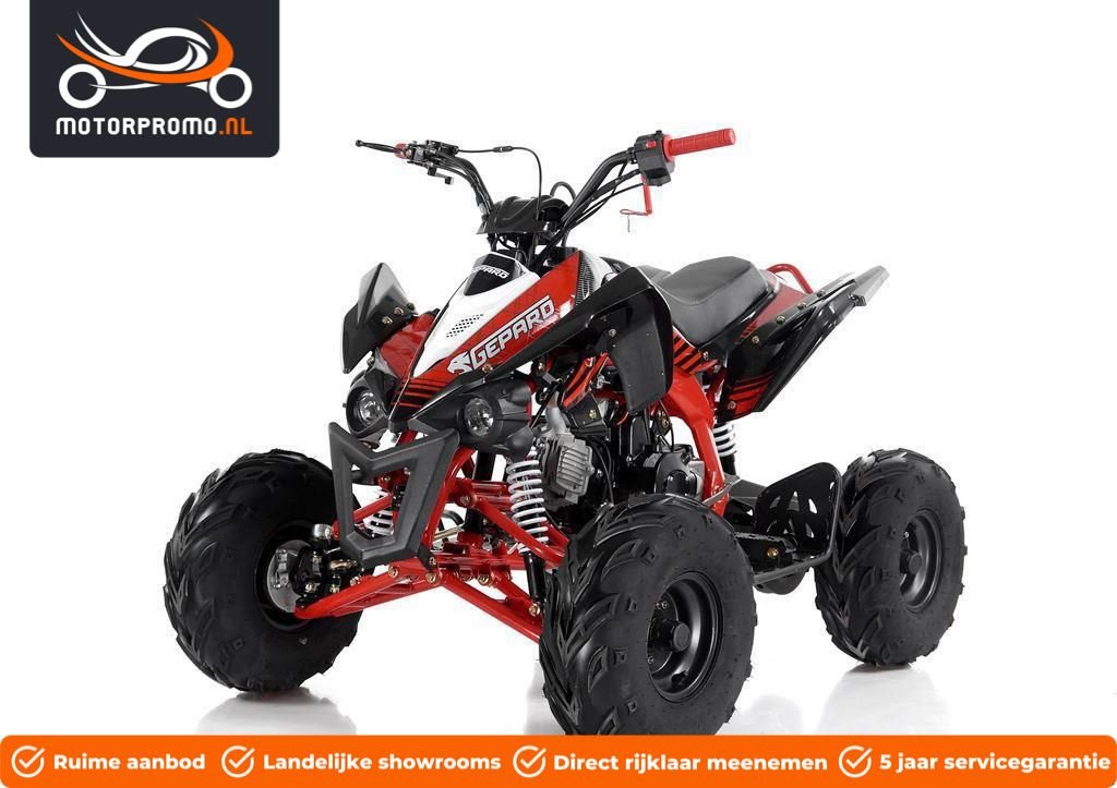 ATV & Quad des Typs Sonstige nitro motors nitro motors Kinderquad 125cc 4takt, Neumaschine in beesd (Bild 4)