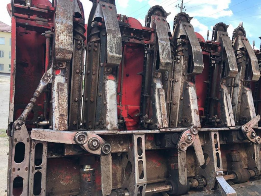 Maispflückvorsatz des Typs Olimac Drago 8, Gebrauchtmaschine in Володарка (Bild 7)