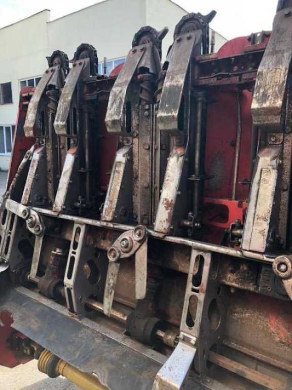 Maispflückvorsatz des Typs Olimac Drago 8, Gebrauchtmaschine in Володарка (Bild 5)