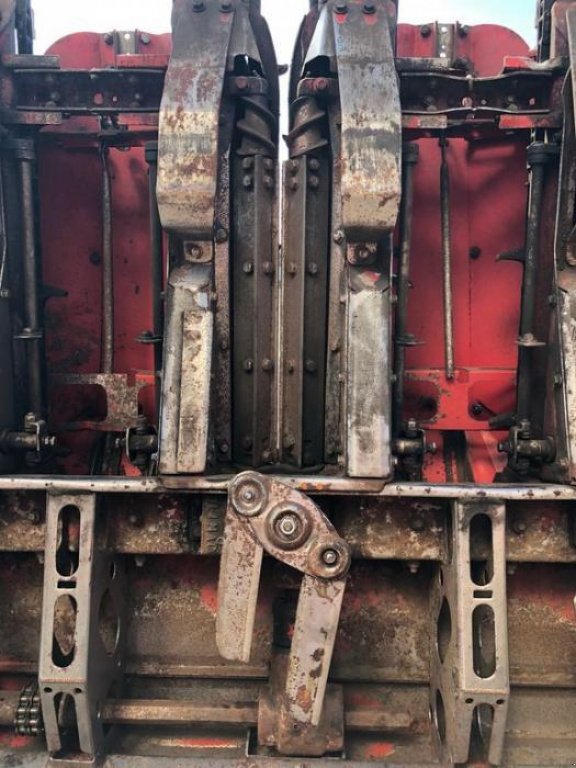 Maispflückvorsatz des Typs Olimac Drago 8, Gebrauchtmaschine in Володарка (Bild 8)