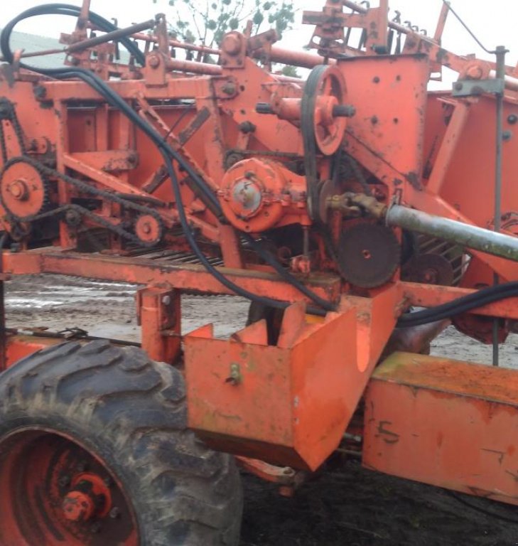 Kartoffelvollernter des Typs AMAC E2,  in Демидівка (Bild 7)