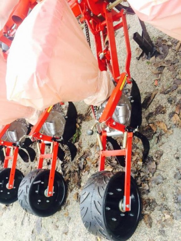 Gareeggenfelder des Typs CHERVONA ZIRKA УПС-8,  in Кіровоград (Bild 6)