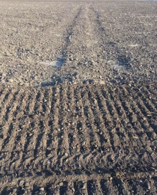 Kartoffelpflegetechnik des Typs Rolmako U-684,  in Київ (Bild 8)