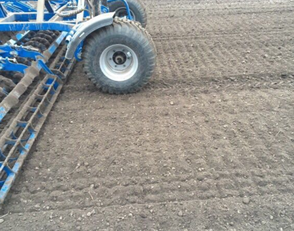 Kartoffelpflegetechnik des Typs Rolmako U-684,  in Київ (Bild 10)