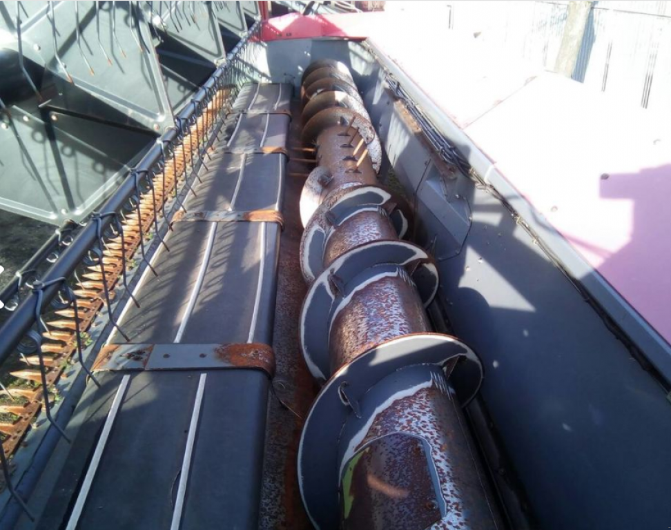 Oldtimer-Mähdrescher des Typs Massey Ferguson 7274 Cerea, Neumaschine in Ужгород (Bild 3)