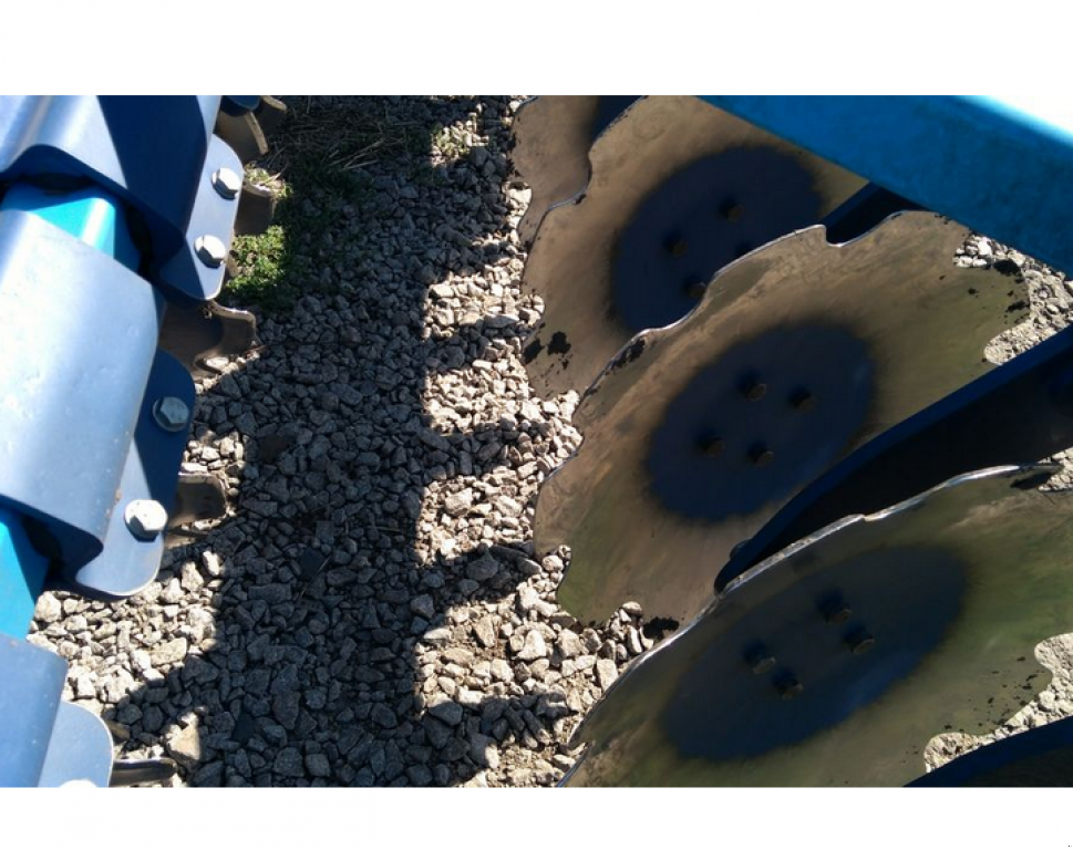 Wiesenegge des Typs Farmet Softer 8 PS,  in Гуляйпо́ле (Bild 7)