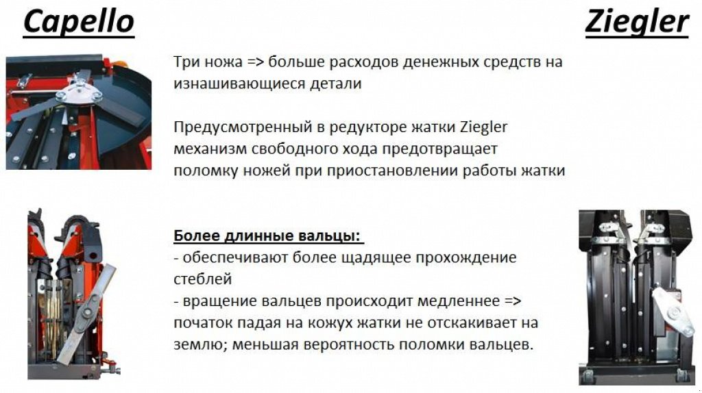 Maispflückvorsatz des Typs Ziegler Corn Champion 8,  in Київ (Bild 4)