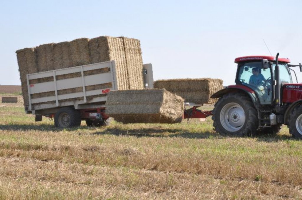 Silierwagen des Typs SMS SPK 31,  in Київ (Bild 1)