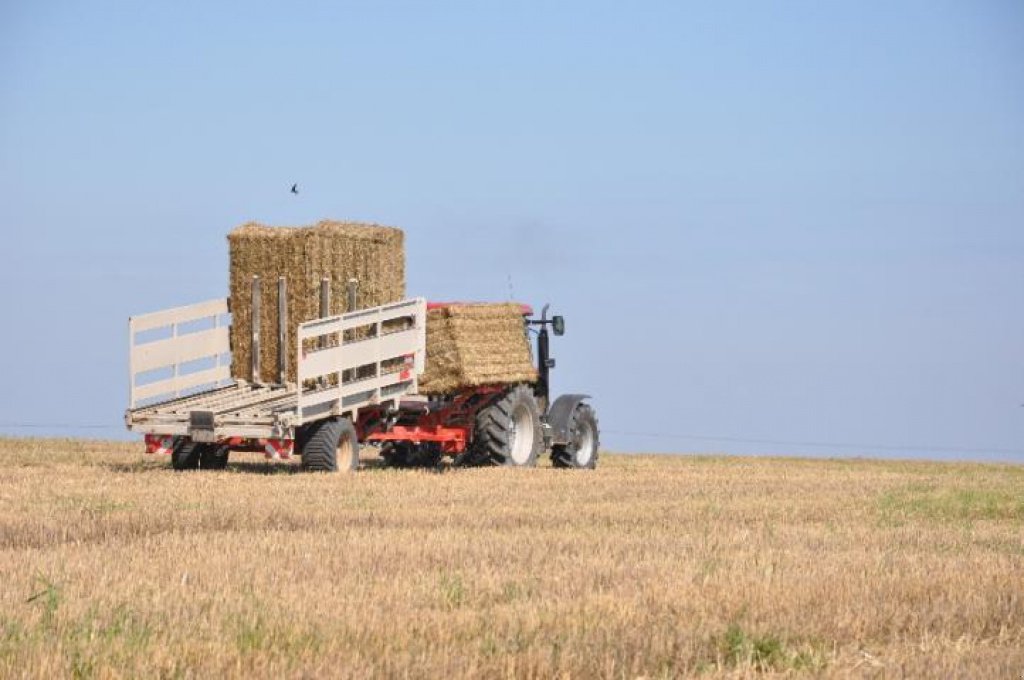 Silierwagen des Typs SMS SPK 31,  in Київ (Bild 2)