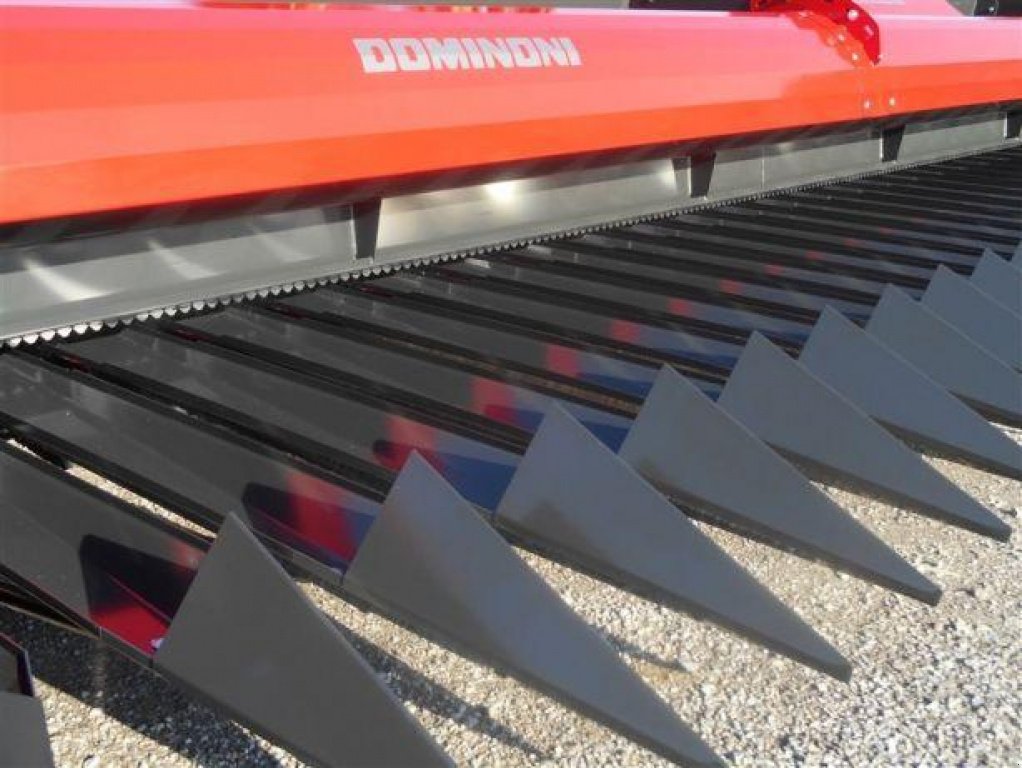 Sonnenblumenschneidwerk des Typs Dominoni Free Sun GF940,  in Хмельницький (Bild 3)