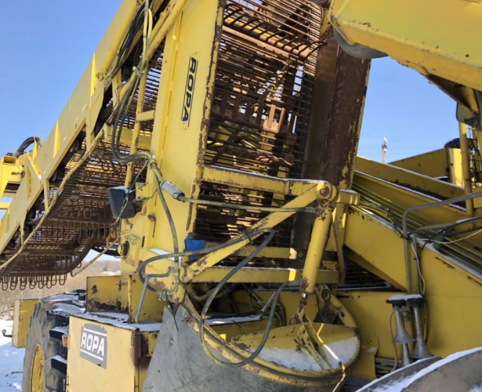 Rübenvollernter des Typs ROPA Euro-Maus 3,  in Теплик (Bild 4)