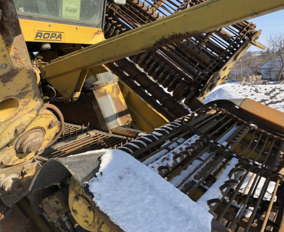 Rübenvollernter des Typs ROPA Euro-Maus 3,  in Теплик (Bild 8)