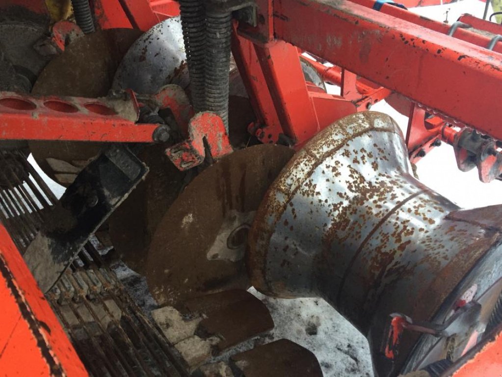 Kartoffelvollernter des Typs Grimme SE 150-60,  in Новгород-Сіверський (Bild 4)