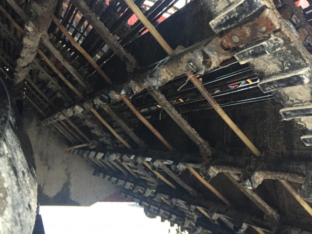 Kartoffelvollernter des Typs Grimme SE 150-60,  in Новгород-Сіверський (Bild 7)