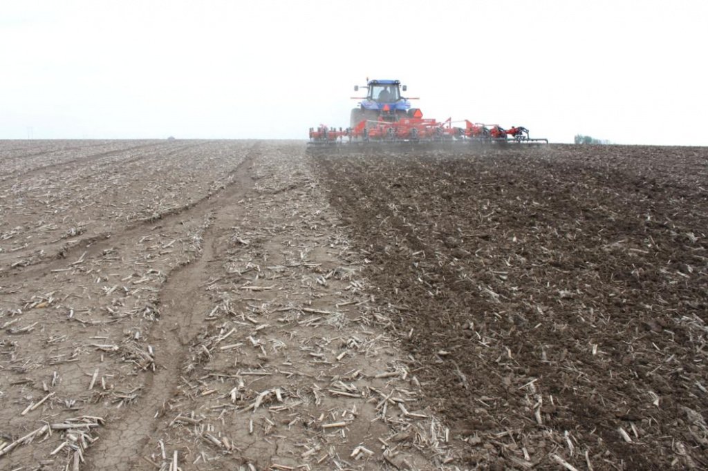 Kartoffelpflegetechnik des Typs Nordsten Krause 5635-36,  in Чабани (Bild 4)