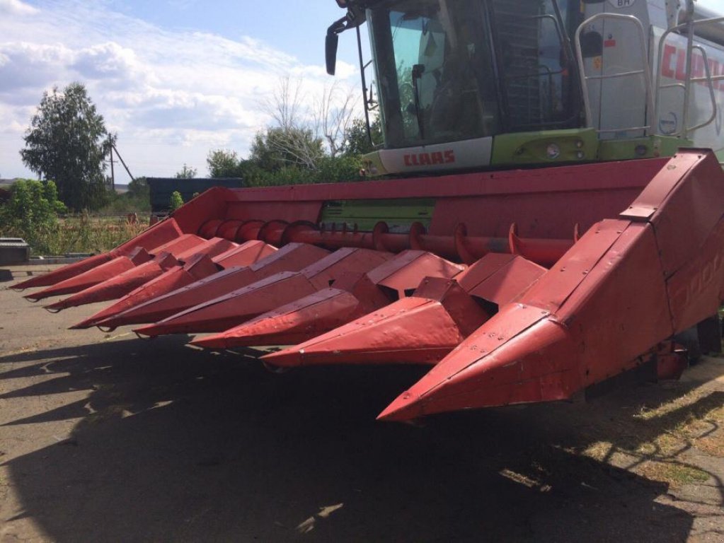 Maispflückvorsatz des Typs Oros 8 HSA,  in Не обрано (Bild 2)