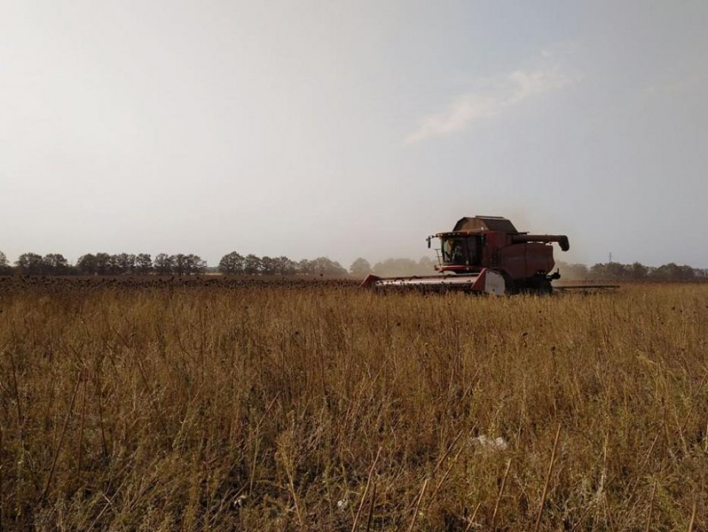 Oldtimer-Mähdrescher des Typs Case IH Axial Flow 8010, Neumaschine in Гірник (Bild 4)