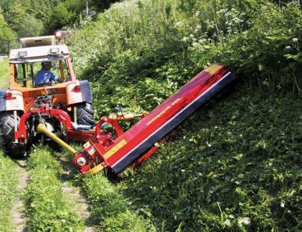 Sichelmäher des Typs Seppi SMWA avs,  in Здолбунів (Bild 1)