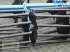Grubber des Typs WM Meyer FLG 6500 Profi, Neumaschine in Andervenne (Bild 5)
