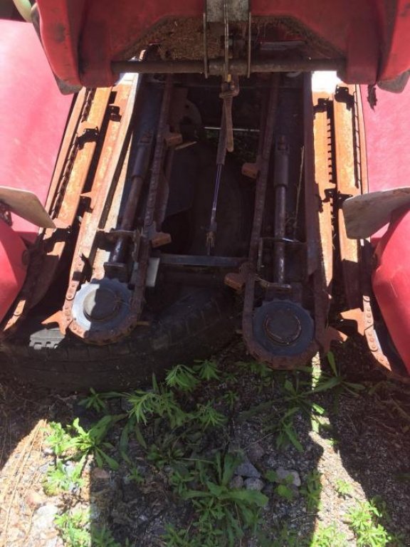 Maispflückvorsatz des Typs Geringhoff Rota Disc 800 B,  in Пролиски (Bild 6)