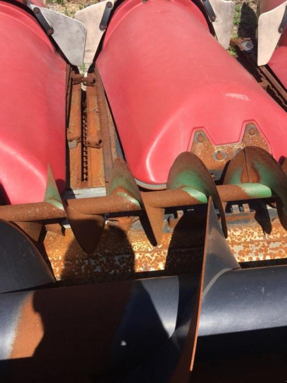 Maispflückvorsatz des Typs Geringhoff Rota Disc 800 B,  in Пролиски (Bild 5)