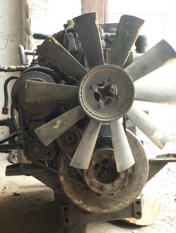 Oldtimer-Traktor des Typs Same Agrofarm 430,  in Сокаль (Bild 4)