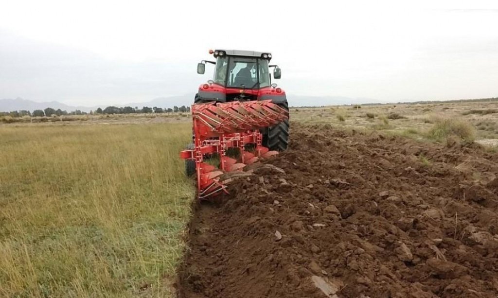 Scheibenpflug des Typs Nordsten Unico 4+1,  in Пологи (Bild 2)