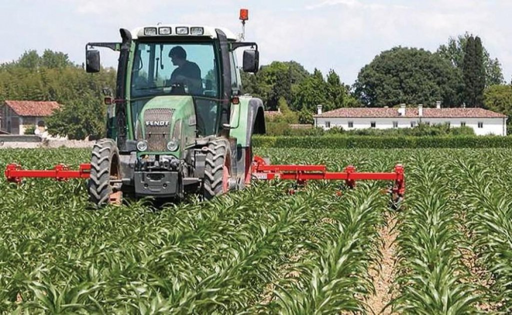 Kartoffelpflegetechnik des Typs Nordsten HL-8R,  in Пологи (Bild 7)