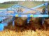 Kartoffelpflegetechnik des Typs Lemken Karat 9/300,  in Пологи (Bild 5)